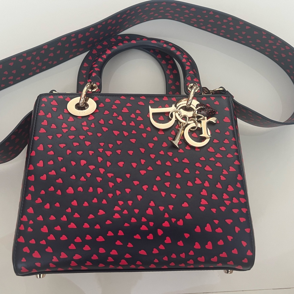 DIOR special edition hand bag/ shoulder bag